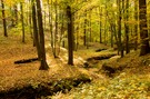 Herbst im Seußlitzer Grund