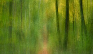 Herbstwischer