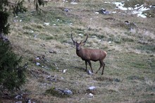 Nach dem ersten Schnee