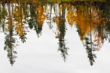 Herbst verkehrt herum.