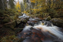 Herbststimmung