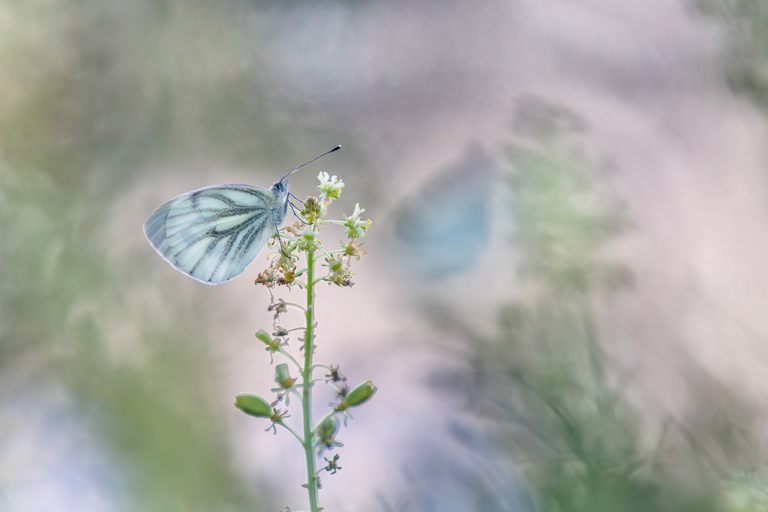 Erinnerungen an den Sommer