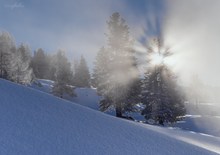 Ausstieg aus dem Nebel