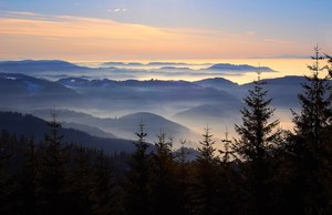 Blick über den Schwarzwald