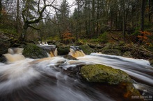 Herbst am Bach