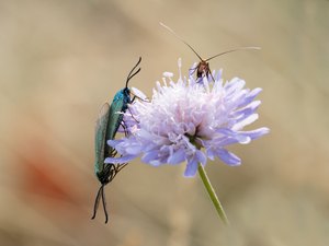 Ich glaube, wir werden beobachtet