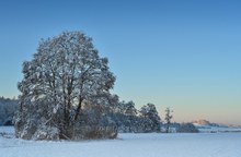 Hölzertal