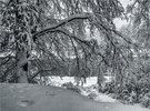 Unser Wintertraum von diesem Jahr  ...