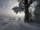 Winterlandschaft