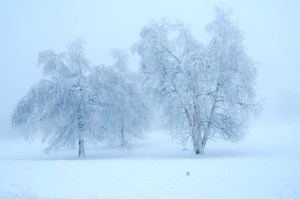 Frostiger Morgen