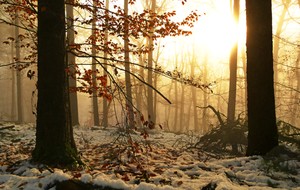 Winterliches Intermezzo im spätherbstlichen Antlitz....