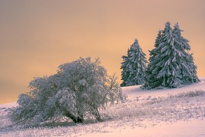 Winterliche Grüße ..