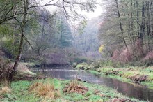 Herbstlicher Rückblick