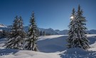 Ein weißer Mantel legt sich über die Alpen