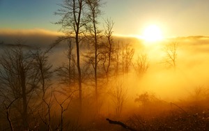 Nebelleuchten im Abendglanze