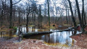 Weihnachtshochwasser am Rotbach