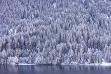 Sufnersee vom Winter eingepackt