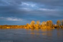 ~ Elbehochwasser ~