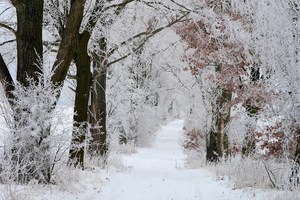 Winter wie vor 13 Jahren