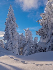 Viel Schnee hatte es