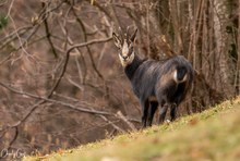 Der Blick zurück