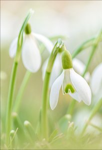 früh im Jahr ...