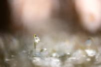 Da sind sie wieder...