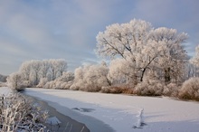 winterliche Emsaue