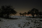 Vollmond