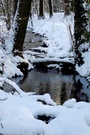 Bachlauf im Winter
