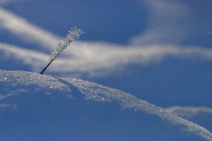 Nadel im Schneehaufen