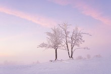 Ein kleines Stück vom Himmel.....