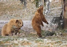 und Hopp