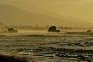 Magic New Zealand