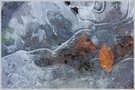 ~ Farben und Formen im Eis ~