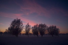 Sonnenuntergang am winterlichen Niederrhein