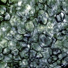 Im Durchlicht gesehen