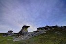 Elephant Rocks