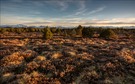 Hochmoor mit Bergblick II