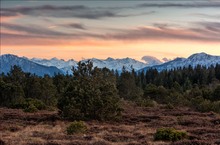 Hochmoor mit Bergblick III