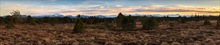 Hochmoor mit Bergblick in voller Breite