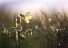 zwischen Regen- und Schneesturm