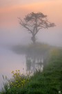 Morgenstimmung im Frühling...