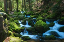 Wasserfall im Schwarzwald