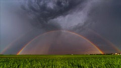 Regenbogen