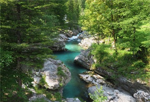 Soča