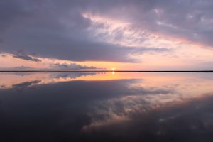 morgens am etang de vacchares