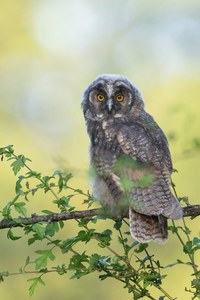 Den Fotografen im Blick