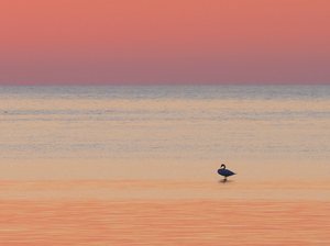 Saaremaa