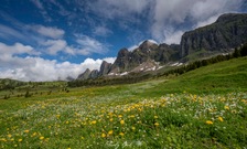 Alpzauber